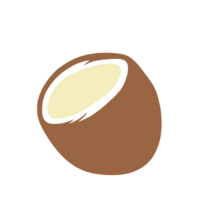 Coconut Cleanser